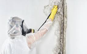 Best Dehumidification Services  in La Verkin, UT